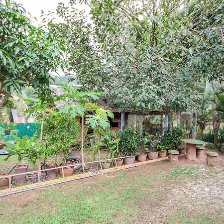 Oyo 75312 Banana Lodge Khao Lak Exterior photo